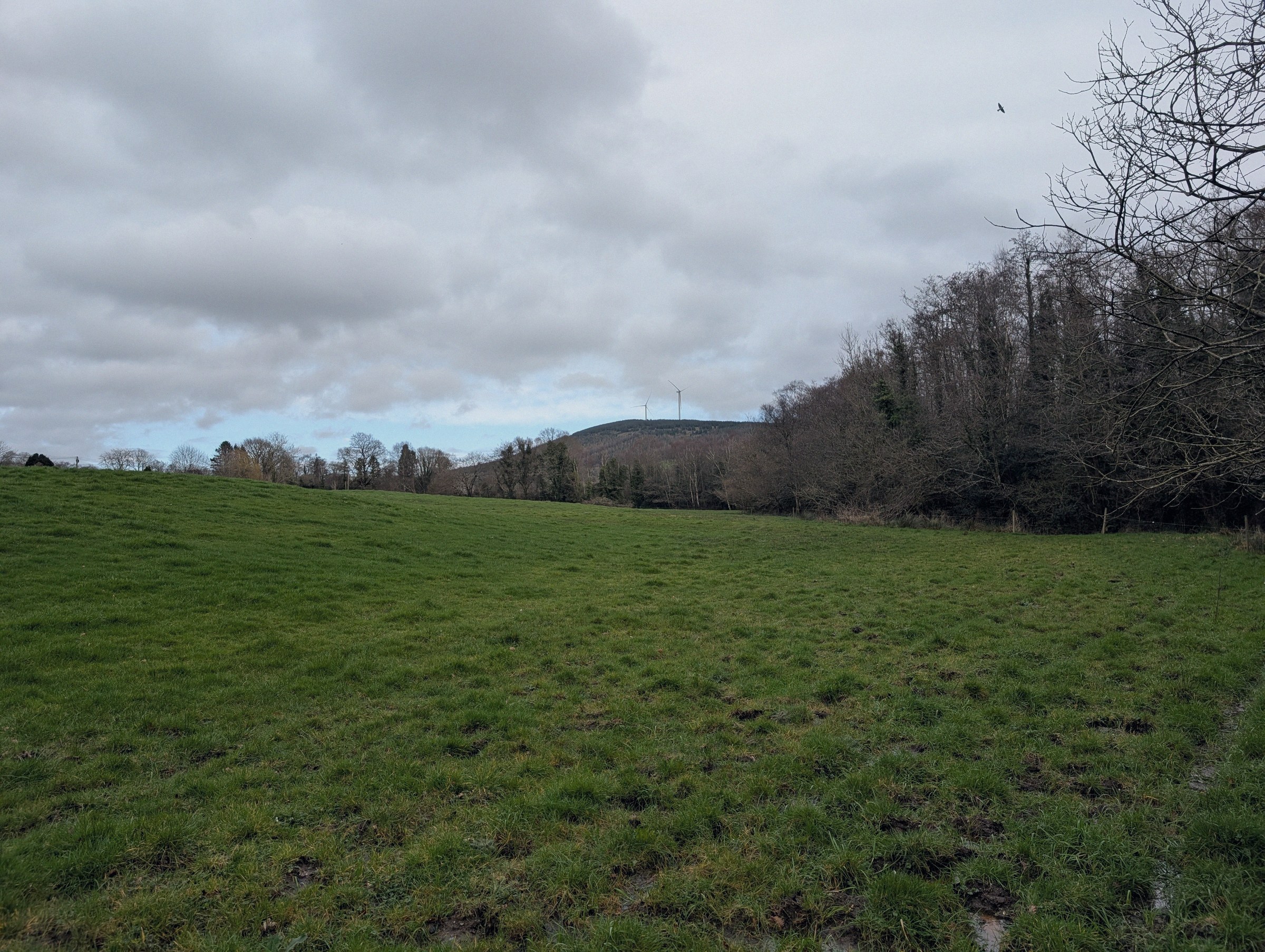The Brook, rural Wexford