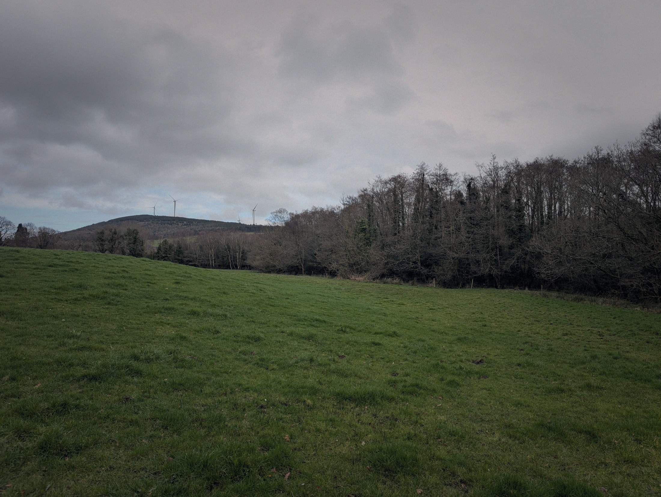 The Brook field, rural Wexford